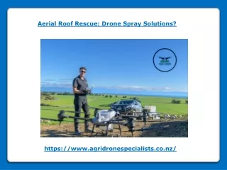 Aerial Roof Rescue - Drone Spray Solutions