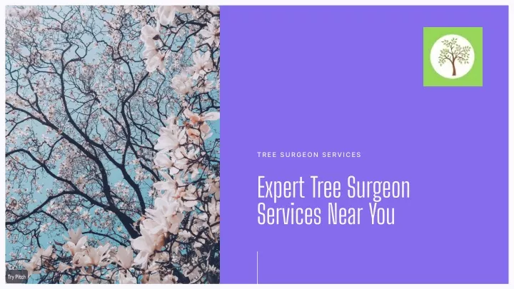 tree surgeon services