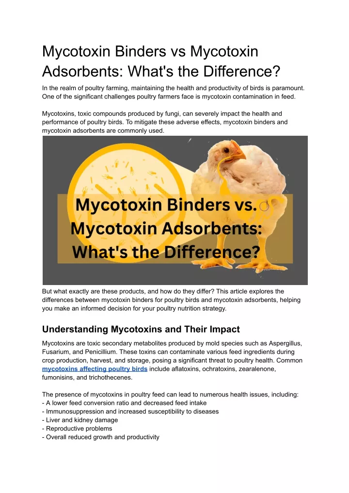 mycotoxin binders vs mycotoxin adsorbents what