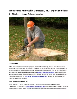 Tree Stump Removal in Damascus, MD Expert Solutions by Walker’s Lawn & Landscaping