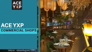 ACE YXP: Premier Commercial Project Selling Shops