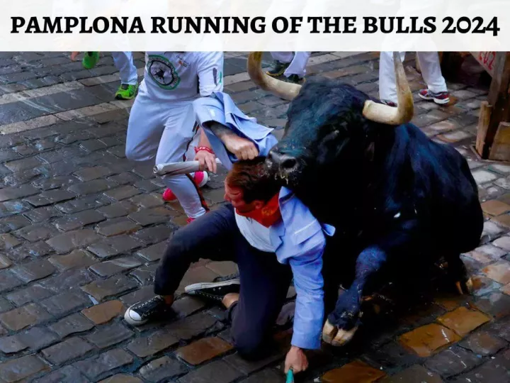 running with the bulls scenes from the streets of pamplona