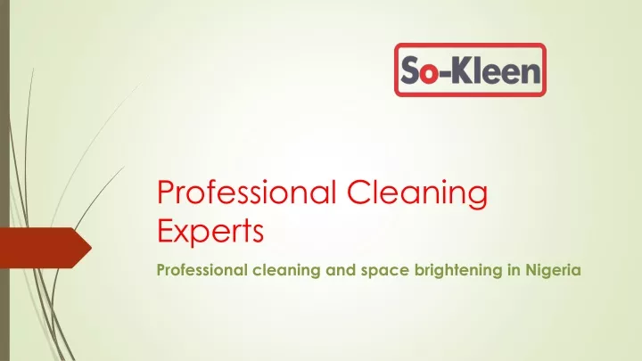 professional cleaning experts