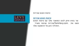 tamirlevy com