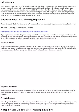 A Step-by-Step Guide to Tree Trimming Like a Pro