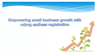 empowering small business growth with udyog