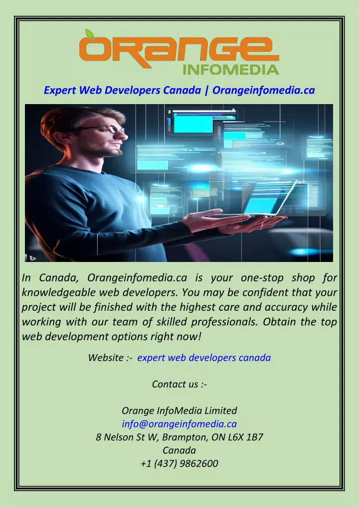 expert web developers canada orangeinfomedia ca