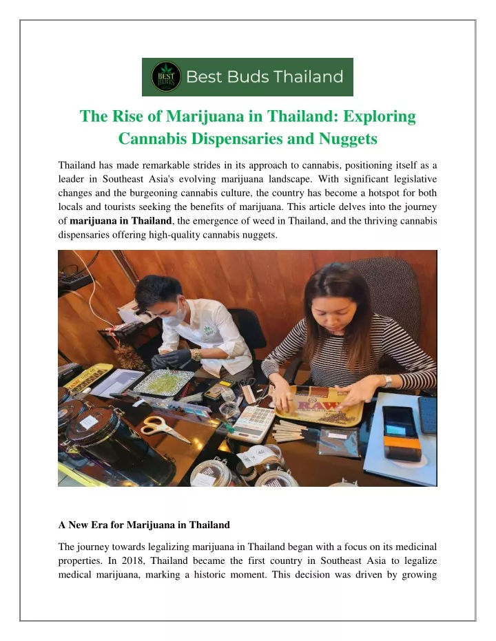 the rise of marijuana in thailand exploring