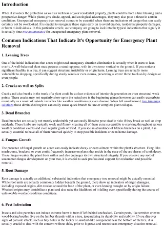Popular Indicators That Indicate It's Opportunity for Emergency Situation Tree R