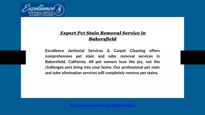 expert pet stain removal service in bakersfield