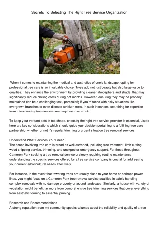 secrets to selecting the right tree service