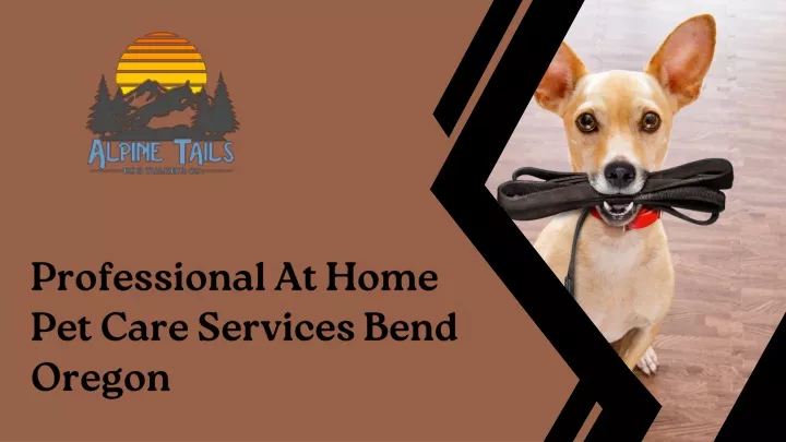 professional at home pet care services bend oregon