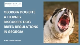 Georgia Dog Bite Attorney Discusses Dog Breed Regulations in Georgia