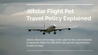 Jetstar Flight Pet Travel Policy Explained