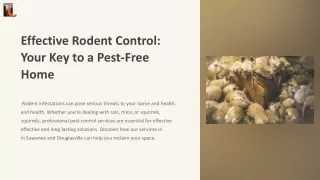 Protect Your Home with Effective Suwanee Rodent Prevention Services