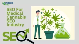 SEO For Medical Cannabis Industry Key Tactics For Success