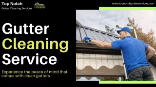 Top Notch Gutter Cleaning Service