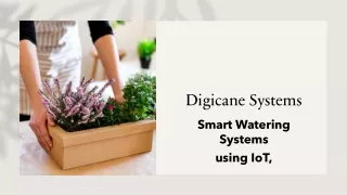 digicane systems