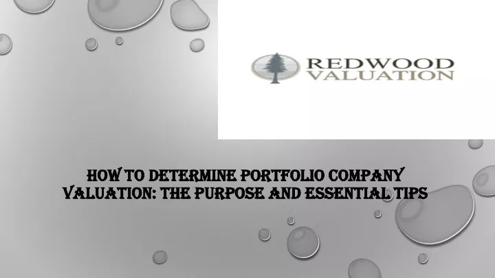 how to determine portfolio company valuation the purpose and essential tips