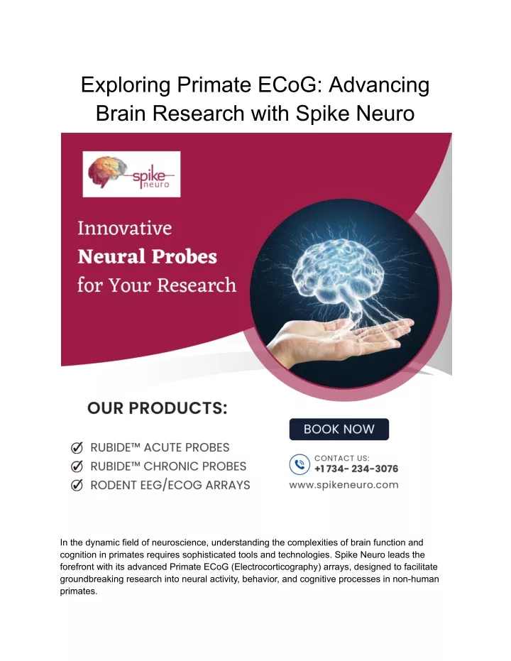 exploring primate ecog advancing brain research