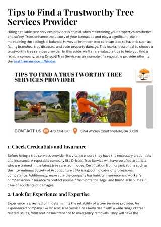 Tips to Find a Trustworthy Tree Services Provider