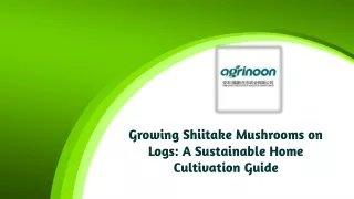 Growing Shiitake Mushrooms on Logs A Sustainable Home Cultivation Guide