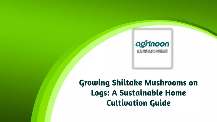 growing shiitake mushrooms on logs a sustainable