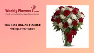 Weekly Flowers Your Go-To Online Florist for Every Occasion