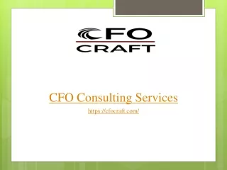 CFO Consulting Services.