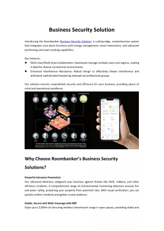 business-security-solution