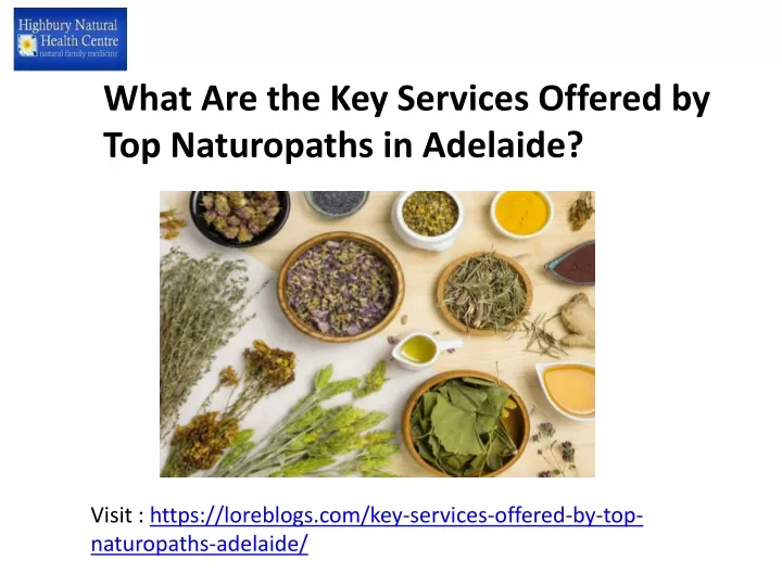 what are the key services offered by top naturopaths in adelaide