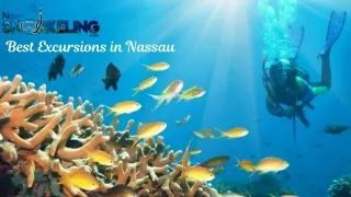 Best Excursions in Nassau