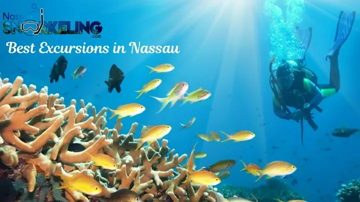 best excursions in nassau