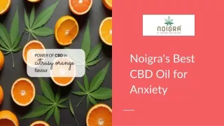 Calming Relief_ Best CBD Oil for Anxiety