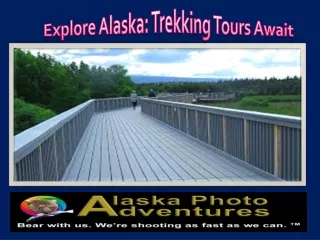 Explore Alaska Trekking Tours Await