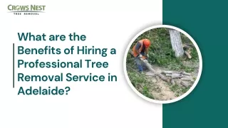What are the Benefits of Hiring a Professional Tree Removal Service in Adelaide?