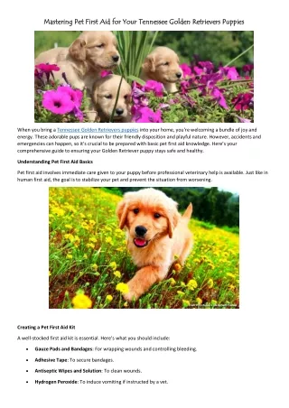 Mastering Pet First Aid for Your Tennessee Golden Retrievers Puppies