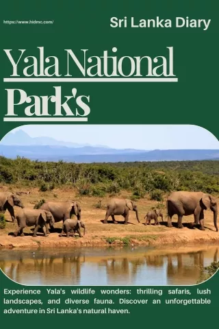 Yala National Park- Sri Lanka Tourism
