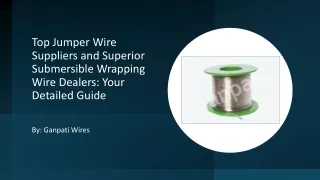 Top Jumper Wire Suppliers and Superior Submersible Wrapping Wire Dealers Your Detailed Guide