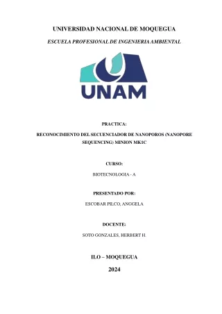 Reconocimiento del Secuenciador de nanoporos (Nanopore sequencing) MinIon Mk1C