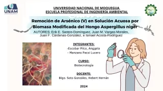 Remoción_de_Arsénico_(V)_en_Solución_Acuosa_por_Biomasa_Modificada_del_Hongo_Aspergillus