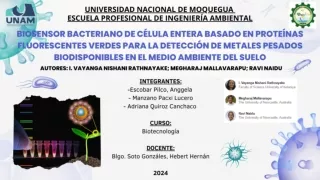 Biosensor bacteriano de célula entera basado en proteínas fluorescentes verdes para la detección de metales pesados biod