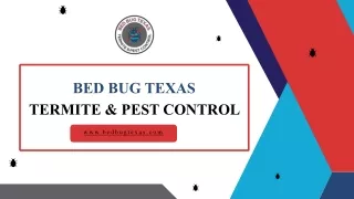bed bug texas termite pest control
