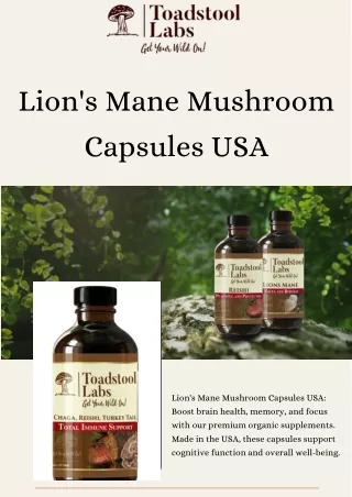 Best Lion's Mane Mushroom Capsules in the USA | Natural Cognitive Support