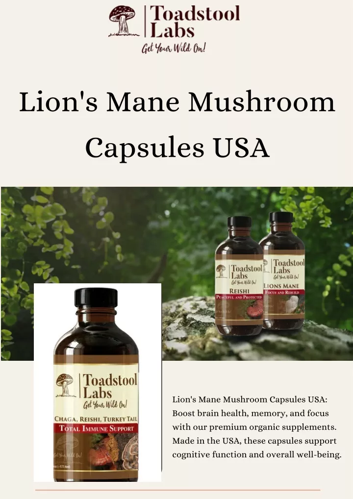 lion s mane mushroom capsules usa