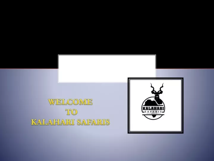 welcome to kalahari safaris