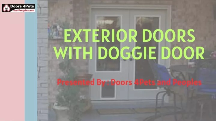 exterior doors with doggie door