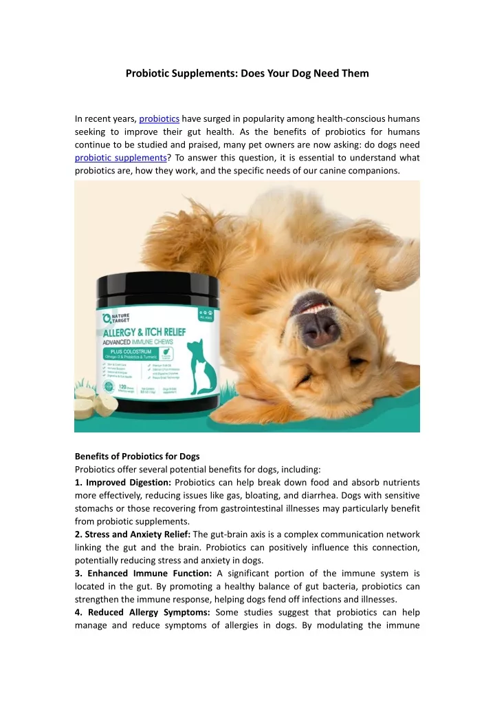 probiotic supplements does your dog need them