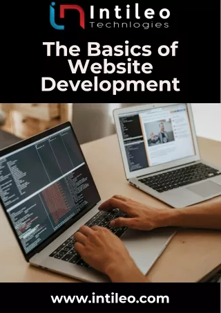 the basics of website development