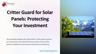 Critter Guard for Solar Panels Protecting Your Investment